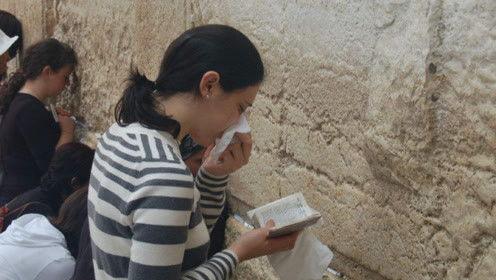 娱乐吃瓜君干了什么